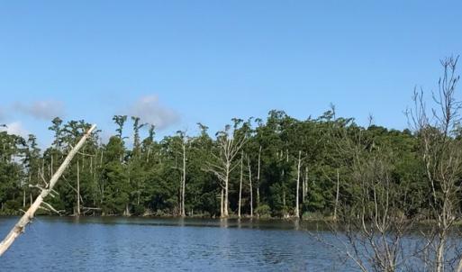 Photo of SOLD!  4 Acres of Waterfront Residential and Recreational Land For Sale in Camden County NC!