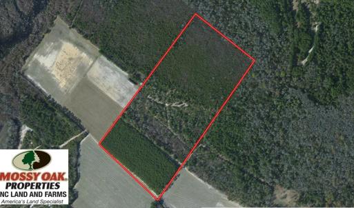 Photo of UNDER CONTRACT!  39.7 Acres of Hunting  and Timber Land For Sale in Columbus County NC!
