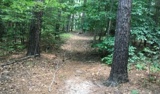 Photo of SOLD!  5 Acres of Residential Land For Sale in Prince George County VA!