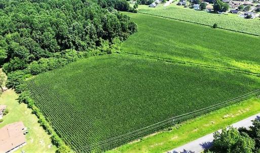 Photo of 18.7 Acres of Farm and Timber Land For Sale In Pitt County NC!