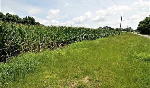 Photo of 18.7 Acres of Farm and Timber Land For Sale In Pitt County NC!