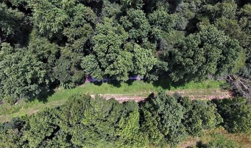 Photo of 18.7 Acres of Farm and Timber Land For Sale In Pitt County NC!