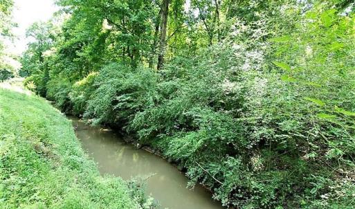 Photo of 18.7 Acres of Farm and Timber Land For Sale In Pitt County NC!