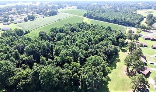 Photo of 18.7 Acres of Farm and Timber Land For Sale In Pitt County NC!