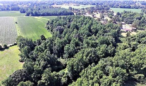 Photo of 18.7 Acres of Farm and Timber Land For Sale In Pitt County NC!