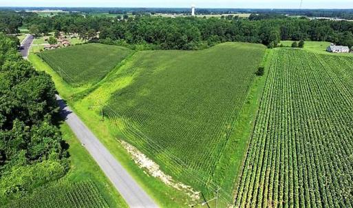 Photo of 18.7 Acres of Farm and Timber Land For Sale In Pitt County NC!