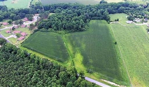 Photo of 18.7 Acres of Farm and Timber Land For Sale In Pitt County NC!