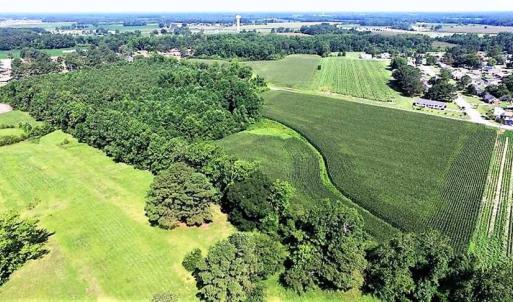 Photo of 17.1 Acres of Farm and Timber Land For Sale In Pitt County NC!