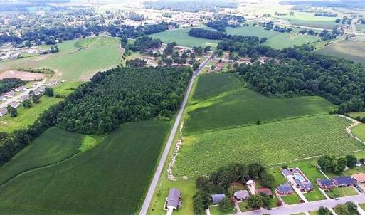 Photo of 17.1 Acres of Farm and Timber Land For Sale In Pitt County NC!