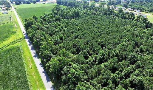 Photo of 17.1 Acres of Farm and Timber Land For Sale In Pitt County NC!