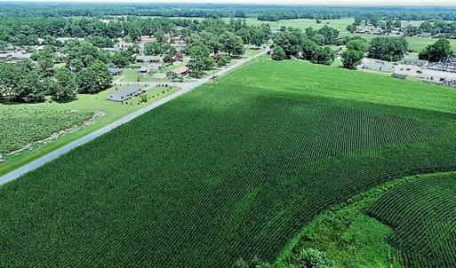 Photo of 17.1 Acres of Farm and Timber Land For Sale In Pitt County NC!