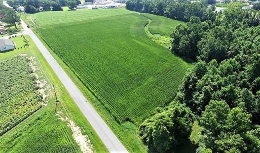 Photo of 17.1 Acres of Farm and Timber Land For Sale In Pitt County NC!