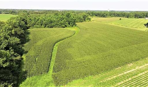 Photo of 17.1 Acres of Farm and Timber Land For Sale In Pitt County NC!