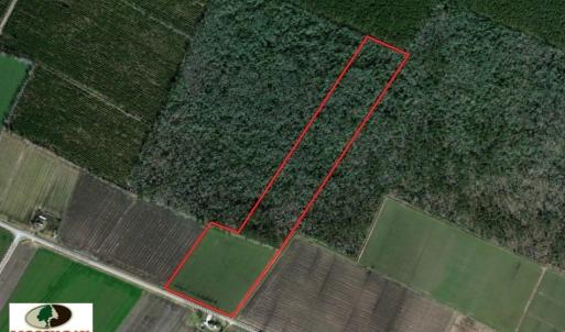 Photo of SOLD!  25 Acres of Farm and Timber Land For Sale in Perquimans County NC!