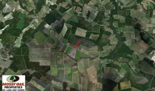 Photo of SOLD!  25 Acres of Farm and Timber Land For Sale in Perquimans County NC!