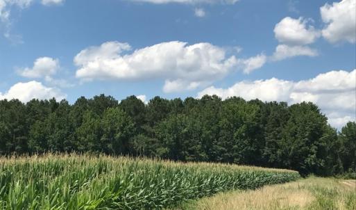 Photo of SOLD!  25 Acres of Farm and Timber Land For Sale in Perquimans County NC!