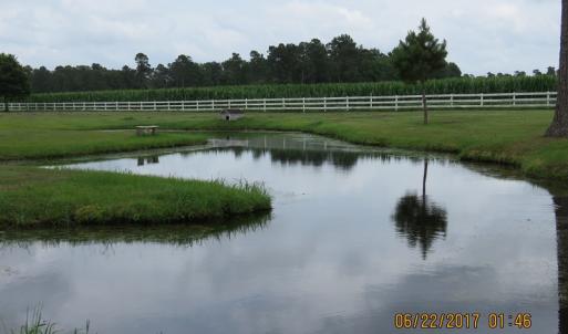 Photo of UNDER CONTRACT!  541.7 Acres of Farm and Hunting Land with Home For Sale in Columbus County NC!