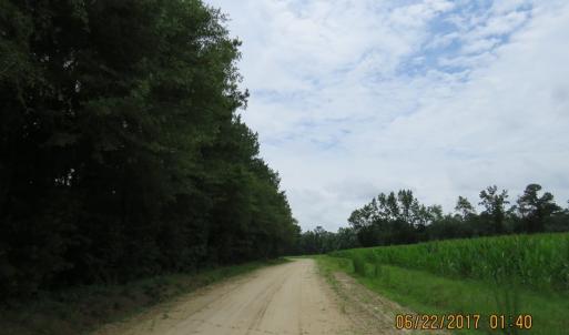 Photo of UNDER CONTRACT!  541.7 Acres of Farm and Hunting Land with Home For Sale in Columbus County NC!