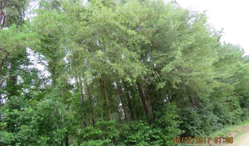 Photo of UNDER CONTRACT!  541.7 Acres of Farm and Hunting Land with Home For Sale in Columbus County NC!