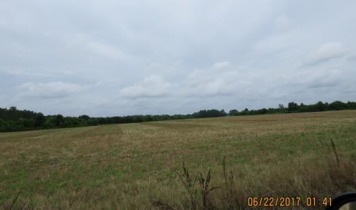 Photo of UNDER CONTRACT!  541.7 Acres of Farm and Hunting Land with Home For Sale in Columbus County NC!
