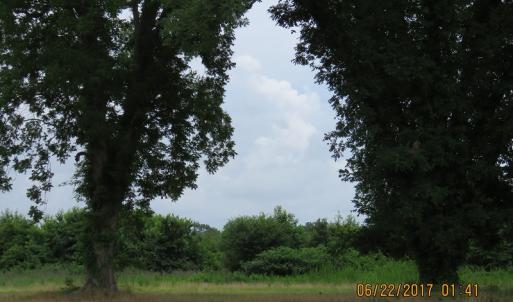 Photo of UNDER CONTRACT!  541.7 Acres of Farm and Hunting Land with Home For Sale in Columbus County NC!