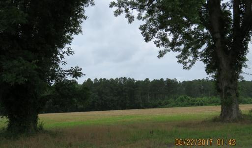 Photo of UNDER CONTRACT!  541.7 Acres of Farm and Hunting Land with Home For Sale in Columbus County NC!