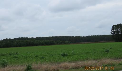 Photo of UNDER CONTRACT!  541.7 Acres of Farm and Hunting Land with Home For Sale in Columbus County NC!