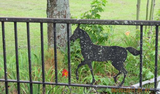 Photo of UNDER CONTRACT!  541.7 Acres of Farm and Hunting Land with Home For Sale in Columbus County NC!
