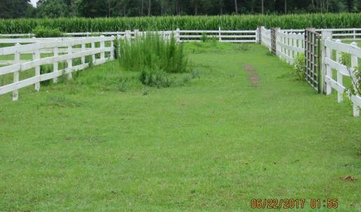 Photo of UNDER CONTRACT!  541.7 Acres of Farm and Hunting Land with Home For Sale in Columbus County NC!