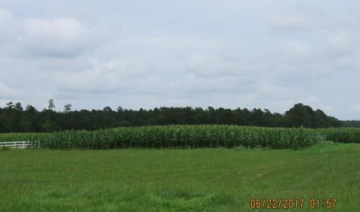 Photo of UNDER CONTRACT!  541.7 Acres of Farm and Hunting Land with Home For Sale in Columbus County NC!