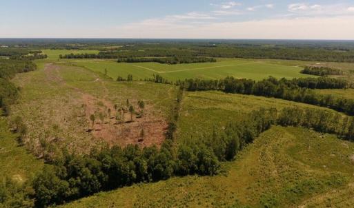 Photo of UNDER CONTRACT!  165 Acres of Farm and Hunting Land For Sale in Suffolk VA!