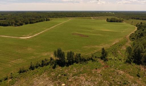 Photo of UNDER CONTRACT!  165 Acres of Farm and Hunting Land For Sale in Suffolk VA!