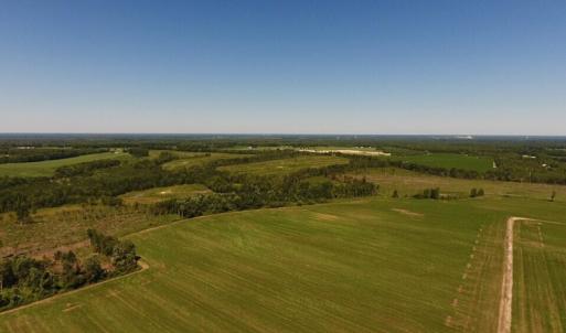 Photo of UNDER CONTRACT!  165 Acres of Farm and Hunting Land For Sale in Suffolk VA!