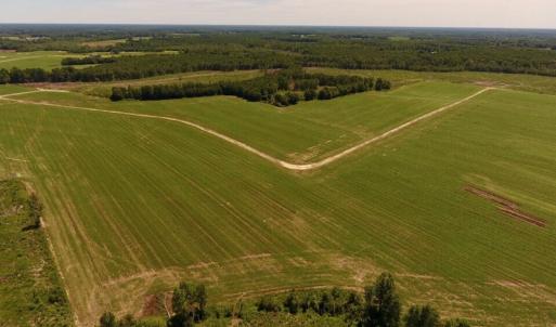 Photo of UNDER CONTRACT!  165 Acres of Farm and Hunting Land For Sale in Suffolk VA!