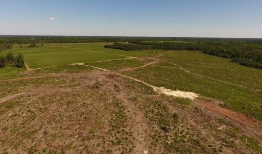 Photo of UNDER CONTRACT!  165 Acres of Farm and Hunting Land For Sale in Suffolk VA!