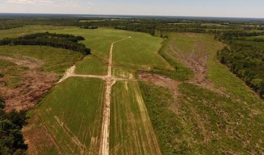 Photo of UNDER CONTRACT!  165 Acres of Farm and Hunting Land For Sale in Suffolk VA!