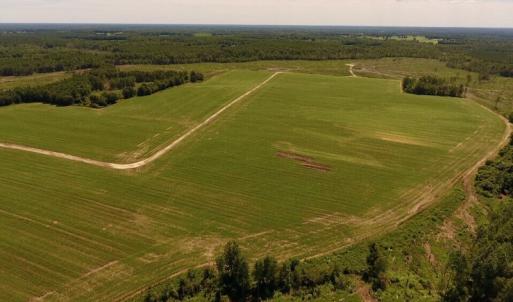 Photo of UNDER CONTRACT!  165 Acres of Farm and Hunting Land For Sale in Suffolk VA!
