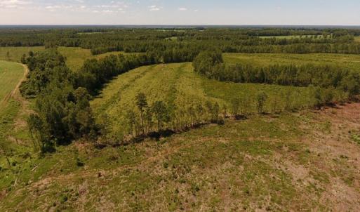 Photo of UNDER CONTRACT!  165 Acres of Farm and Hunting Land For Sale in Suffolk VA!