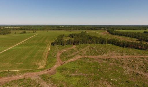 Photo of UNDER CONTRACT!  165 Acres of Farm and Hunting Land For Sale in Suffolk VA!