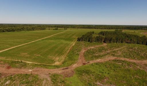 Photo of UNDER CONTRACT!  165 Acres of Farm and Hunting Land For Sale in Suffolk VA!