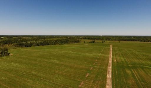 Photo of UNDER CONTRACT!  165 Acres of Farm and Hunting Land For Sale in Suffolk VA!