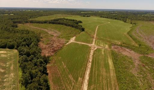 Photo of UNDER CONTRACT!  165 Acres of Farm and Hunting Land For Sale in Suffolk VA!