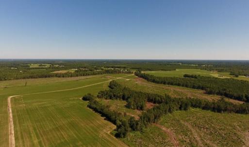 Photo of UNDER CONTRACT!  165 Acres of Farm and Hunting Land For Sale in Suffolk VA!