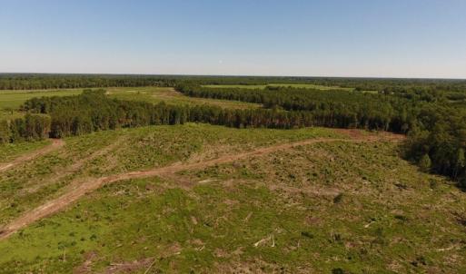 Photo of UNDER CONTRACT!  165 Acres of Farm and Hunting Land For Sale in Suffolk VA!