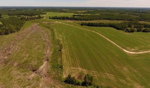 Photo of UNDER CONTRACT!  165 Acres of Farm and Hunting Land For Sale in Suffolk VA!