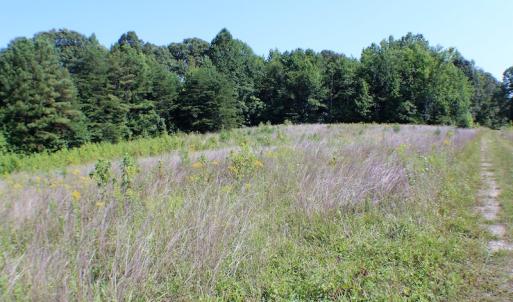 Photo of UNDER CONTRACT!  55.86 Acres of Recreational and Hunting Land For Sale in Goochland County VA!