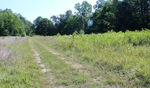 Photo of UNDER CONTRACT!  55.86 Acres of Recreational and Hunting Land For Sale in Goochland County VA!