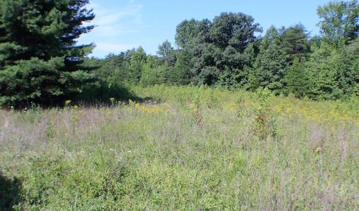 Photo of UNDER CONTRACT!  55.86 Acres of Recreational and Hunting Land For Sale in Goochland County VA!