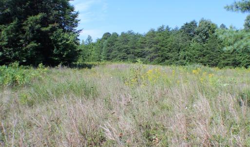 Photo of UNDER CONTRACT!  55.86 Acres of Recreational and Hunting Land For Sale in Goochland County VA!