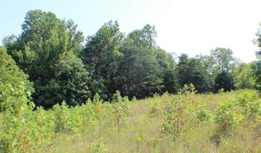 Photo of UNDER CONTRACT!  55.86 Acres of Recreational and Hunting Land For Sale in Goochland County VA!